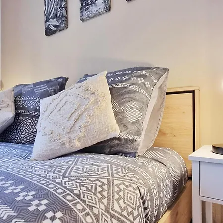 Le Petit Leon - - Fibre - Rbnb Apartment Colmar