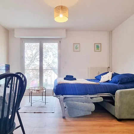 Le Petit Leon - - Fibre - Rbnb Apartment Colmar