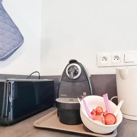 Apartment Le Petit Leon - - Fibre - Rbnb Colmar